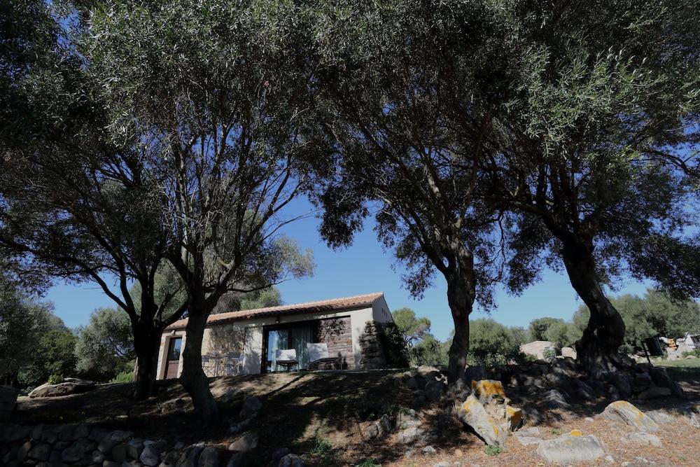 Liscia Country Relais Sant'Antonio di Gallura Exterior foto