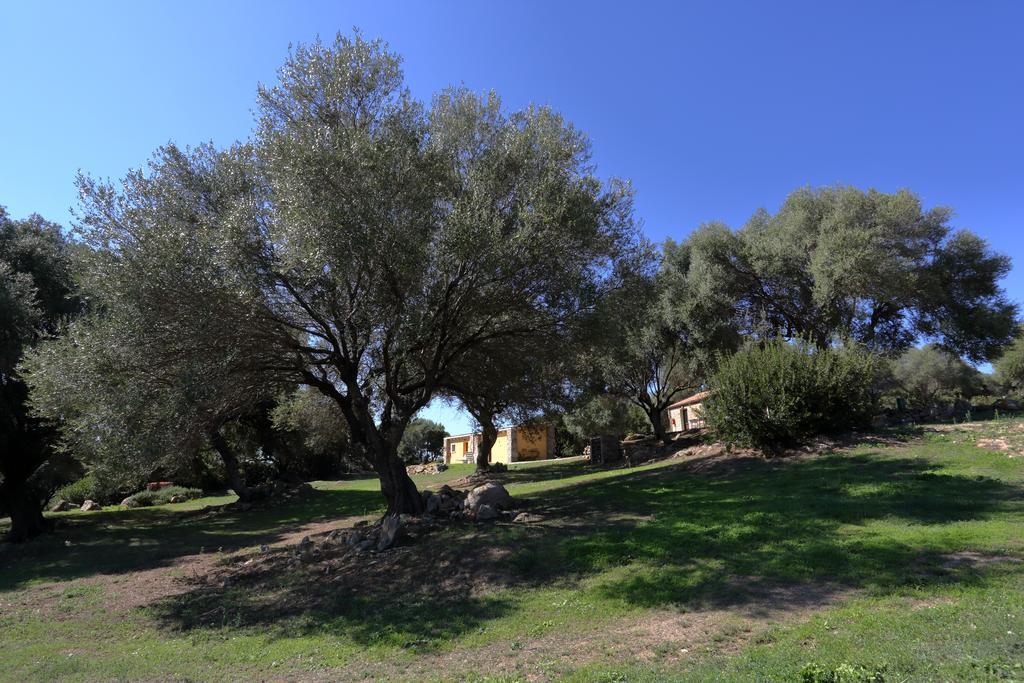 Liscia Country Relais Sant'Antonio di Gallura Exterior foto